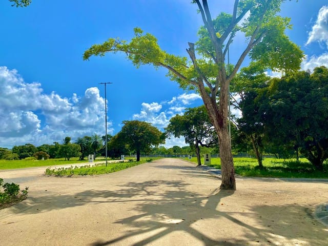 Foto de ADRIANO BRAGA IMÓVEIS (11)