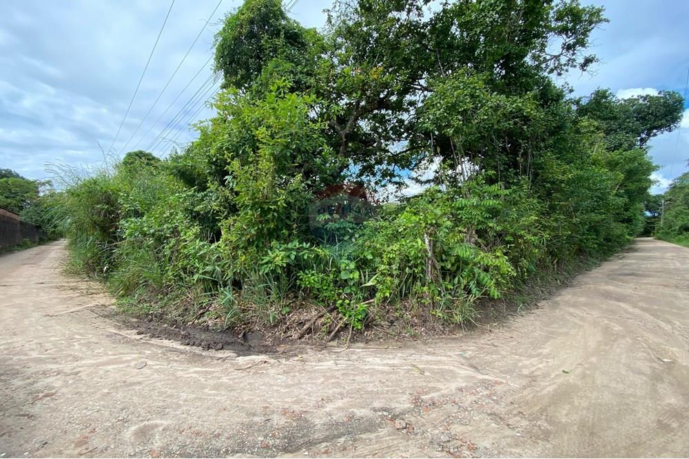 Chácara / Sítio / Fazenda em Aldeia dos Camarás, Camaragibe - foto 10