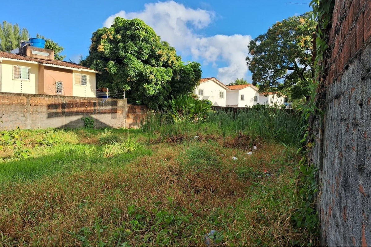 Terreno em Candeias, Jaboatão dos Guararapes - foto 2