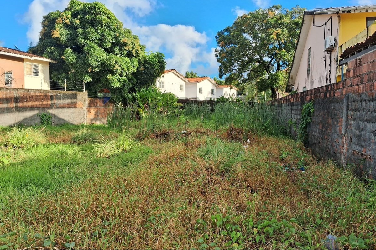 Terreno em Candeias, Jaboatão dos Guararapes - foto 5