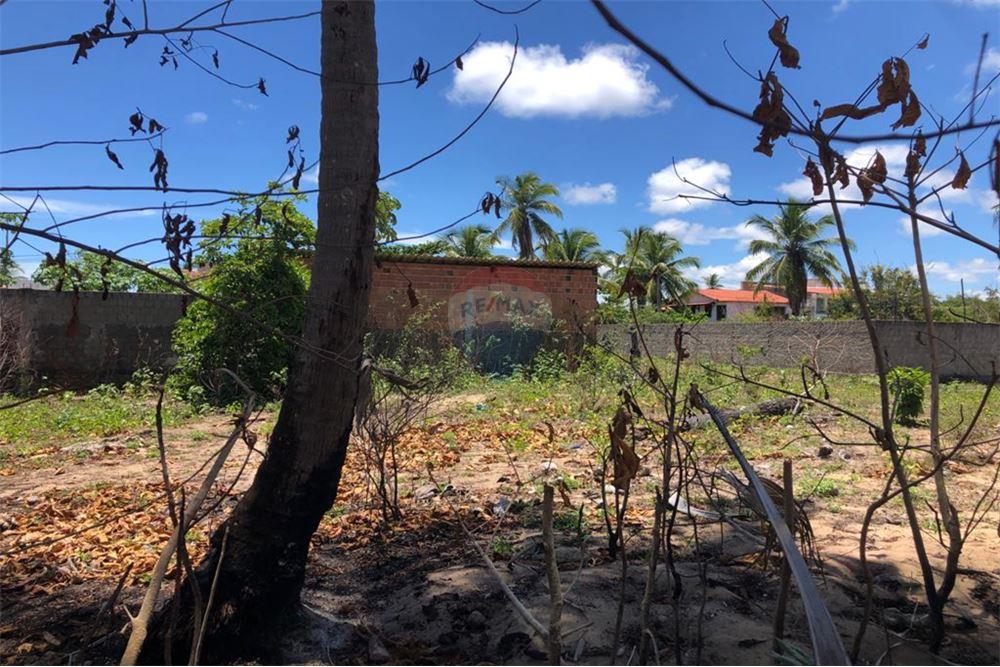 Terreno em Centro, Tamandaré - foto 1