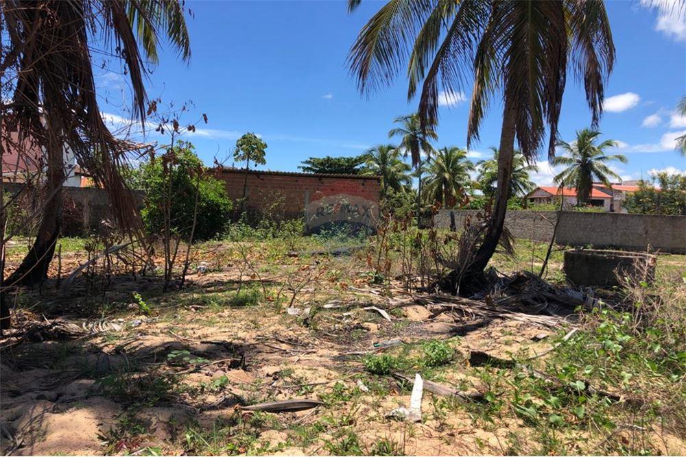 Terreno em Centro, Tamandaré - foto 3