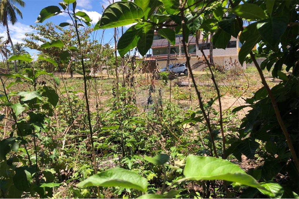Terreno em Centro, Tamandaré - foto 5