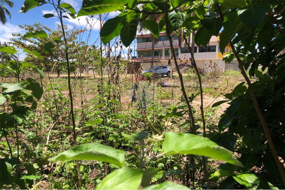 Terreno em Centro, Tamandaré - foto 6